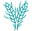 Crop Information